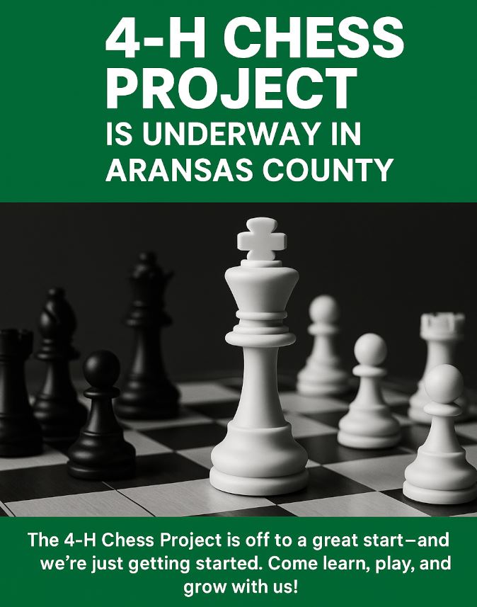 Read more about the article 🟢 4-H Chess Project is Underway in Aransas County!