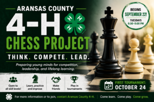 Read more about the article 4-H Chess Returns!