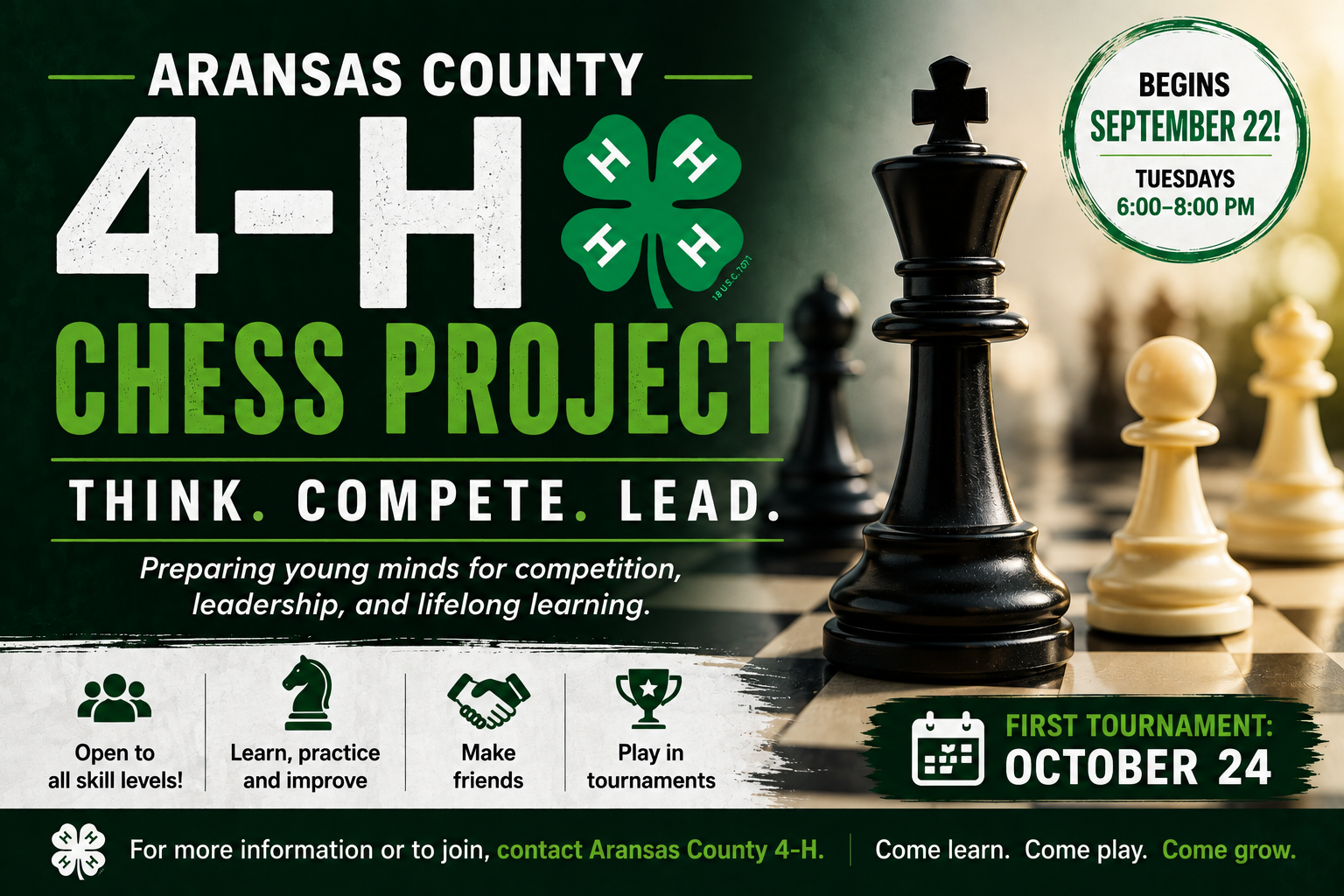 Read more about the article 4-H Chess Returns!